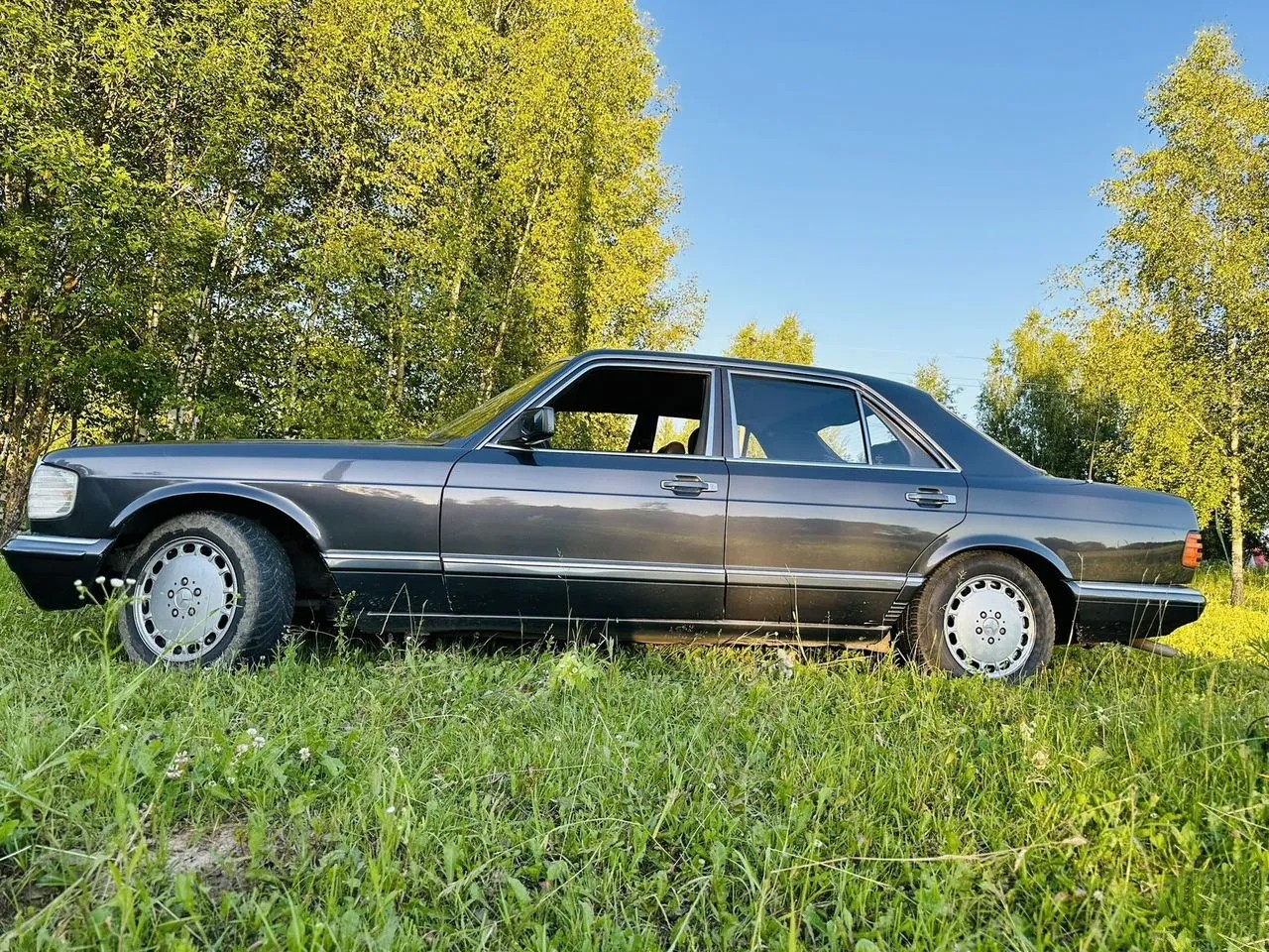 Mercedes-Benz S-класс 2.8_1983 — фото 7